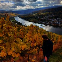 Weingut-Weinberge_Herbst