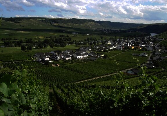 Blick auf Kesten an der Mosel