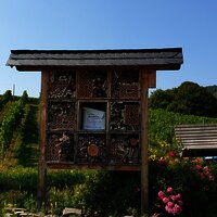 Insektenhotel an der Ruheinsel