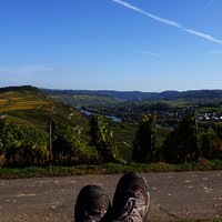 Aussicht von der Ruheinsel