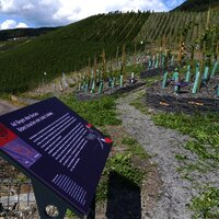 Station 4: verschiedene Reberziehungsarten