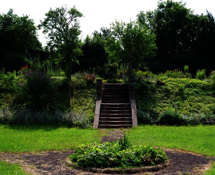 Garten mit Treppe