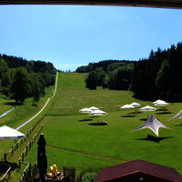 Das Bild zeigt einen weiten Grashügel mit Schirmen und der Sommerrodelbahn des Freizeitzentrum Peterberg.