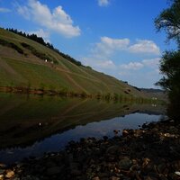 Moselufer bei Brauneberg