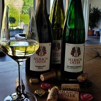 Weingut Selbach-Oster Weinflaschen
