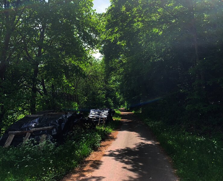 Schattige Passagen entlang der Strecke