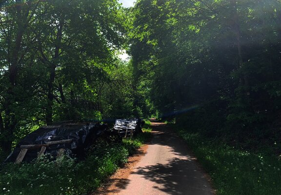 Schattige Passagen entlang der Strecke