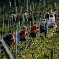 Aufstieg Römersteig