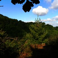 Blick auf die Burg Landshut entlang der Strecke
