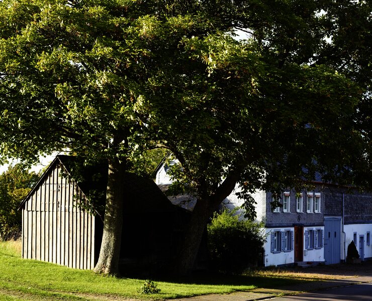 Idylle im Wanderurlaub: Oberkleinich