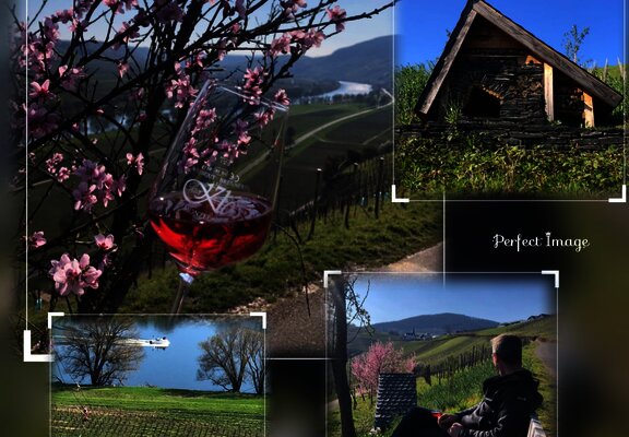 Weingut in Osann-Monzel