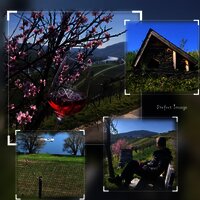 Weingut in Osann-Monzel