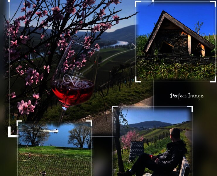 Weingut in Osann-Monzel