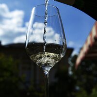 Glas im Weinberg