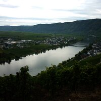 Die Mosel bei Piesport