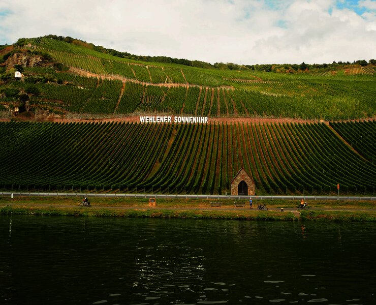 Wehlener Sonnenuhr mit Weinlage