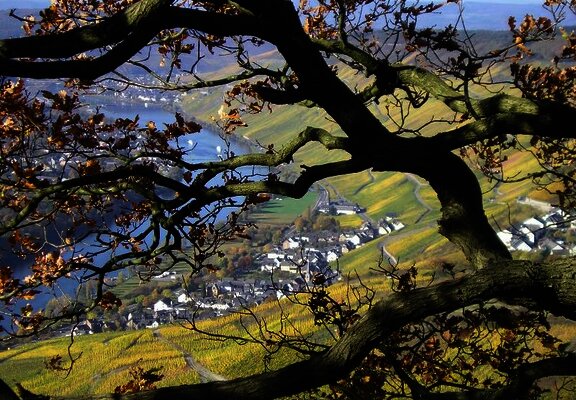 Herbstimpressionen über der Mosel