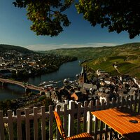 Blcik auf die Mosel und Weinberge