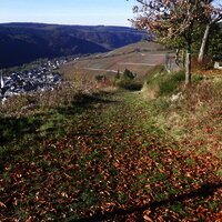 Blick auf Enkirch vom Rastplatz Rottenblick
