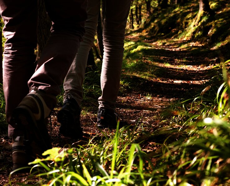 Von der Mosel in den Wald: Maria-Zill Panoramaweg