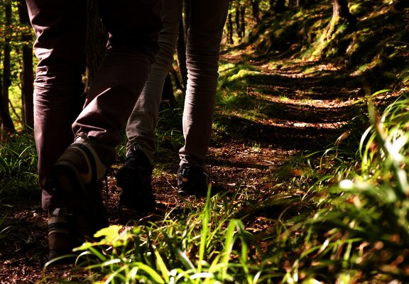 Von der Mosel in den Wald: Maria-Zill Panoramaweg