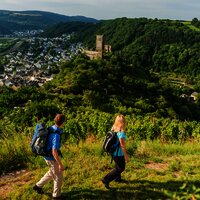 Aussicht auf die Niederburg und Kobern-Gondorf
