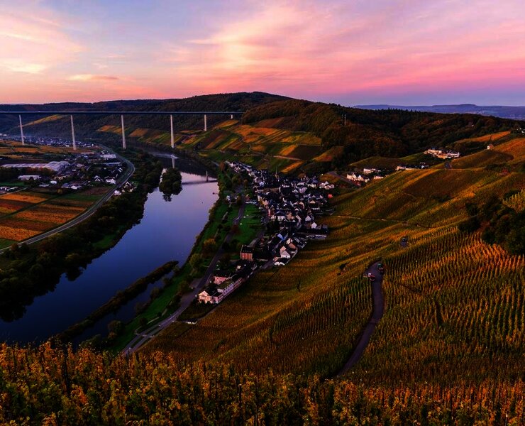 Weineberge im Herbst
