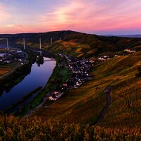 Weineberge im Herbst