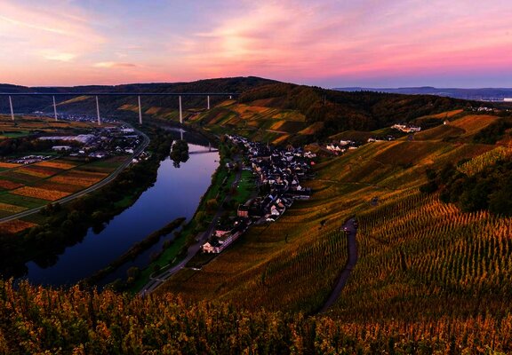Weineberge im Herbst