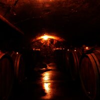 Weingut Schiffmann-Junk Fasskeller