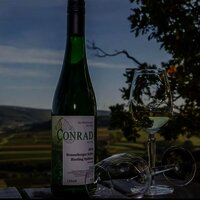 Weingut Gustav Conrad