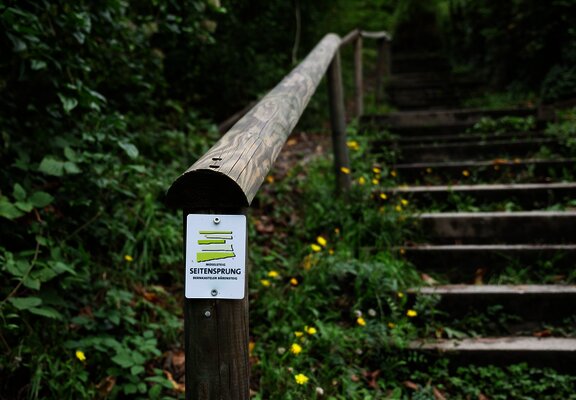 Bärensteig zur Bresgenruh