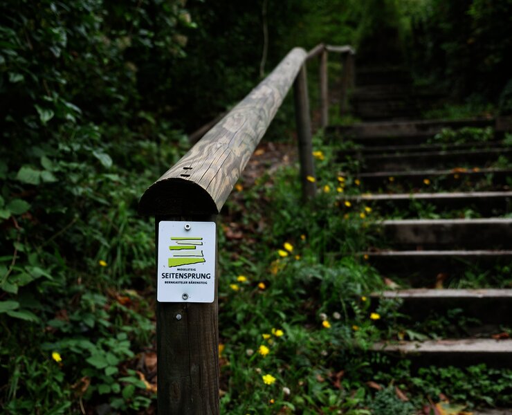 Bärensteig zur Bresgenruh