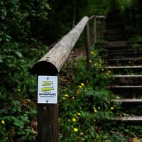 Bärensteig zur Bresgenruh
