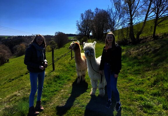 Alpaka-Trekking in Kleinich - Ausflug