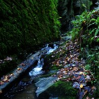 Bachlauf im Tiefenbachtal