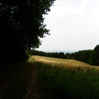 Wald-und Wiesenweg