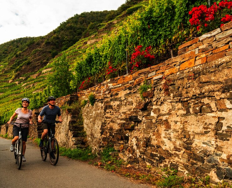 Mosel-Radweg bei Winningen