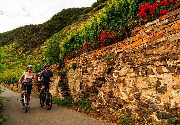 Mosel-Radweg bei Winningen