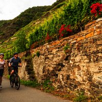 Mosel-Radweg bei Winningen