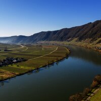 Die Mosel bei Piesport