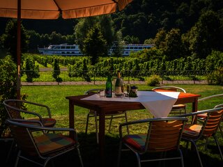 Weingut Paul Koenen - Ausblick auf die Mosel
