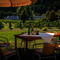 Weingut Paul Koenen - Ausblick auf die Mosel