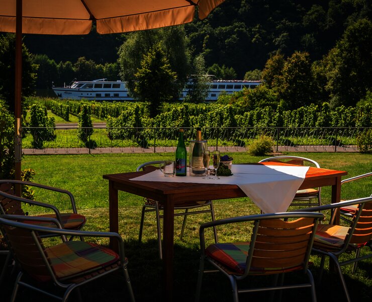 Weingut Paul Koenen - Ausblick auf die Mosel