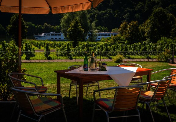 Weingut Paul Koenen - Ausblick auf die Mosel