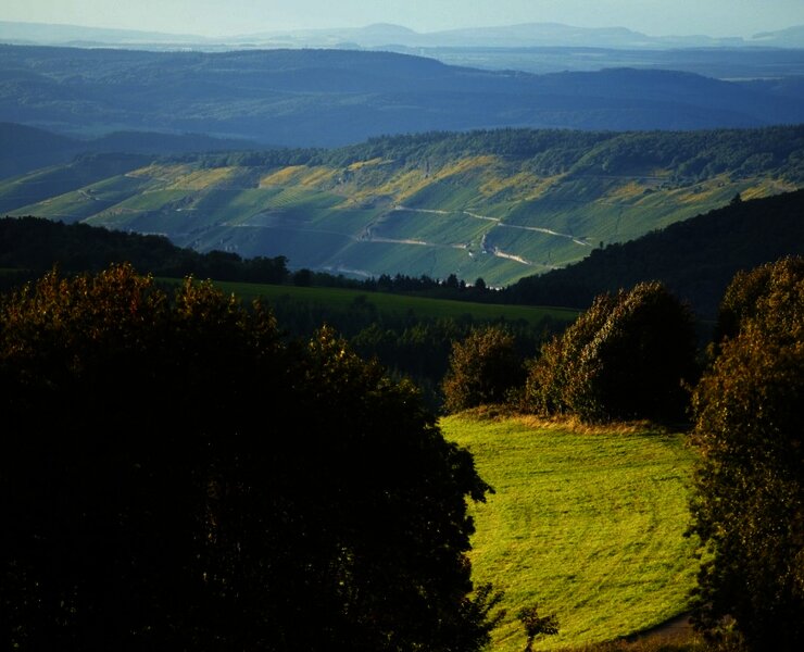 Radfahren im Urlaub mit Moselpanorama