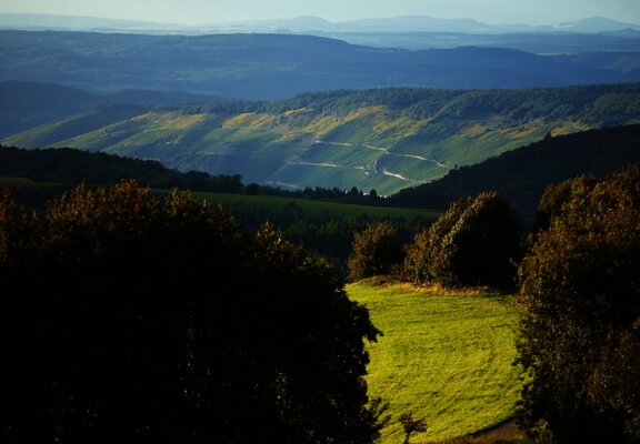 Radfahren im Urlaub mit Moselpanorama
