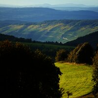 Radfahren im Urlaub mit Moselpanorama