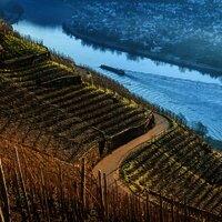 Moselschifffahrt bei Winningen