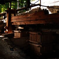 Kelteranlage Piesport